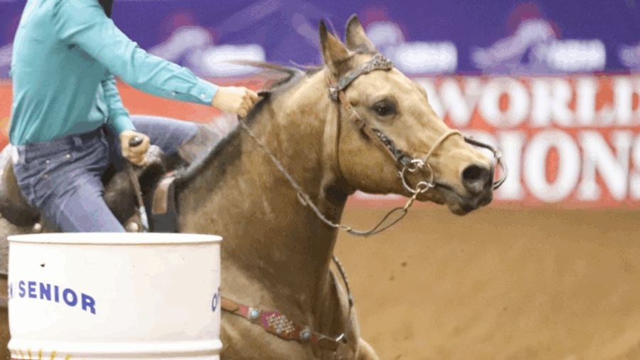 Close crop horse turning a barrel