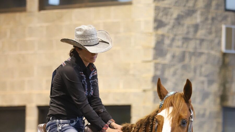 horse and rider waiting outside arena