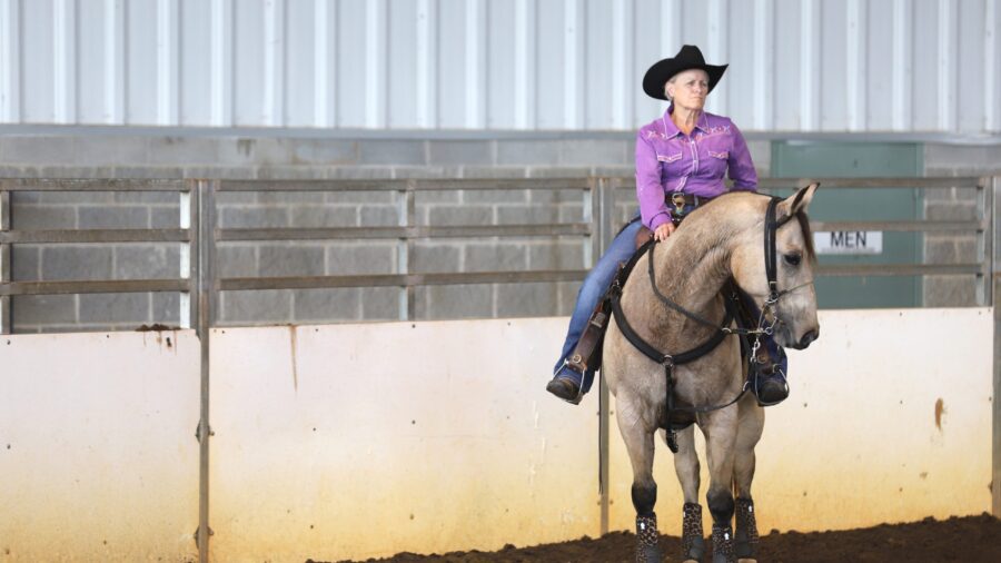 rider sitting on horse standing in arena
