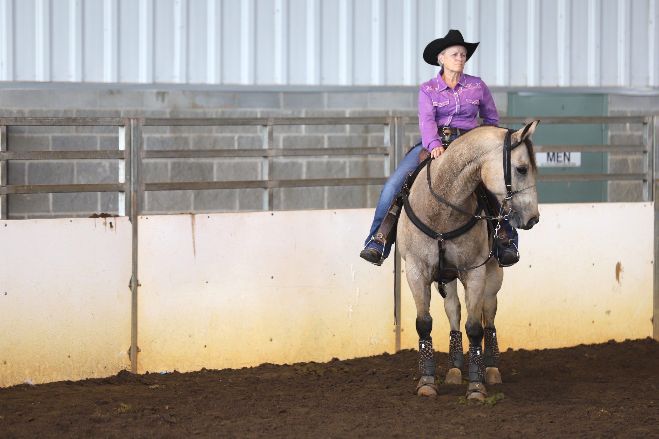 rider sitting on horse standing in arena