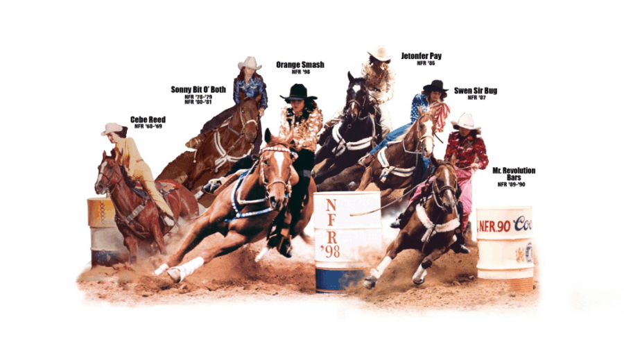 Martha Josey's horses