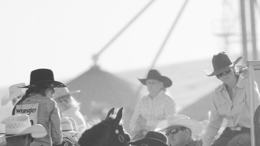 rider sitting on horse at rodeo waiting to run