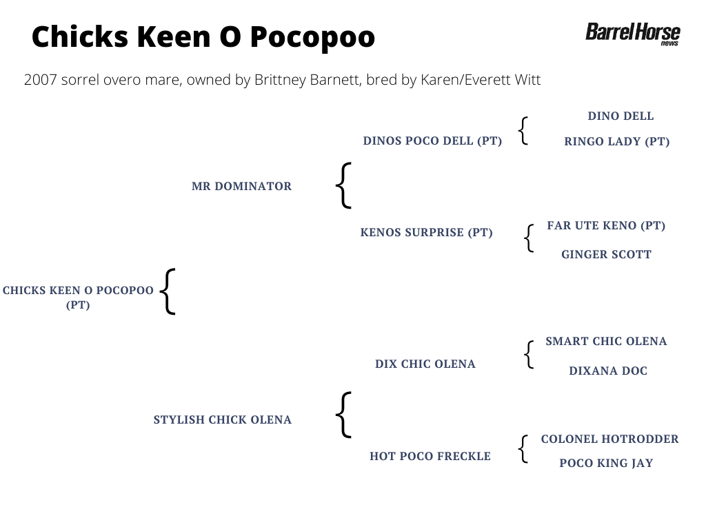 Chicks Keen O Pocopoo pedigree