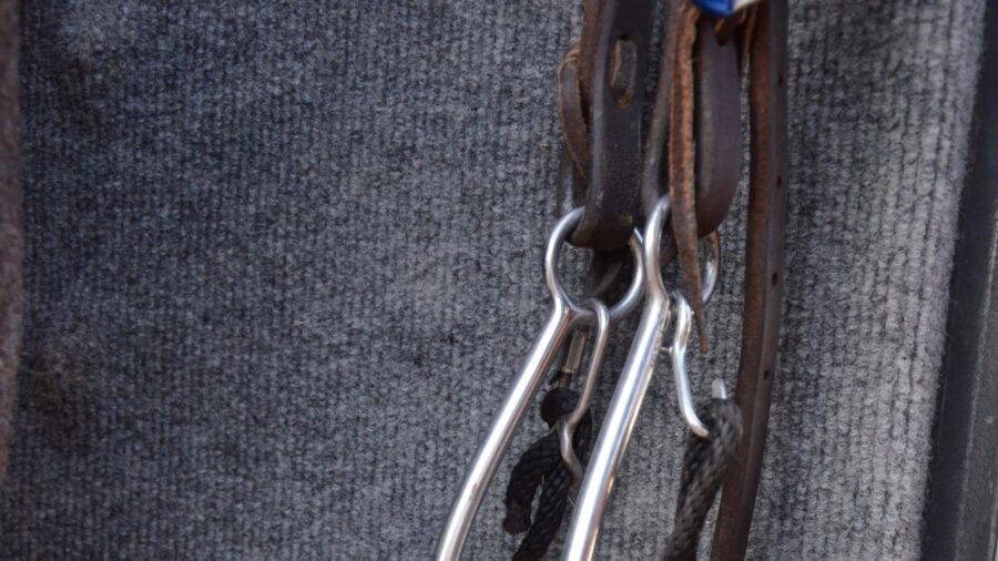No Hit Bit hanging on headstall at trailer