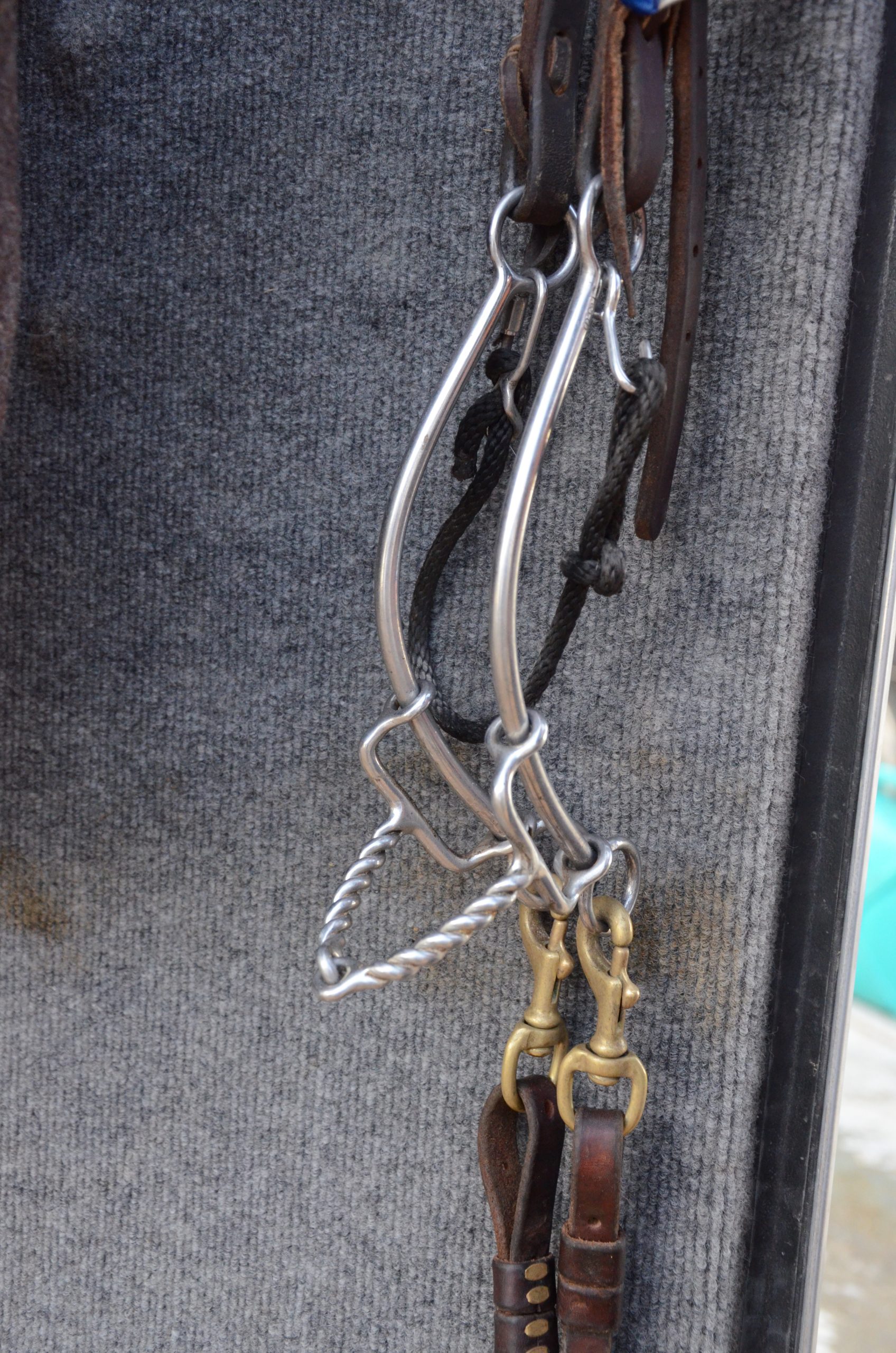 No Hit Bit hanging on headstall at trailer