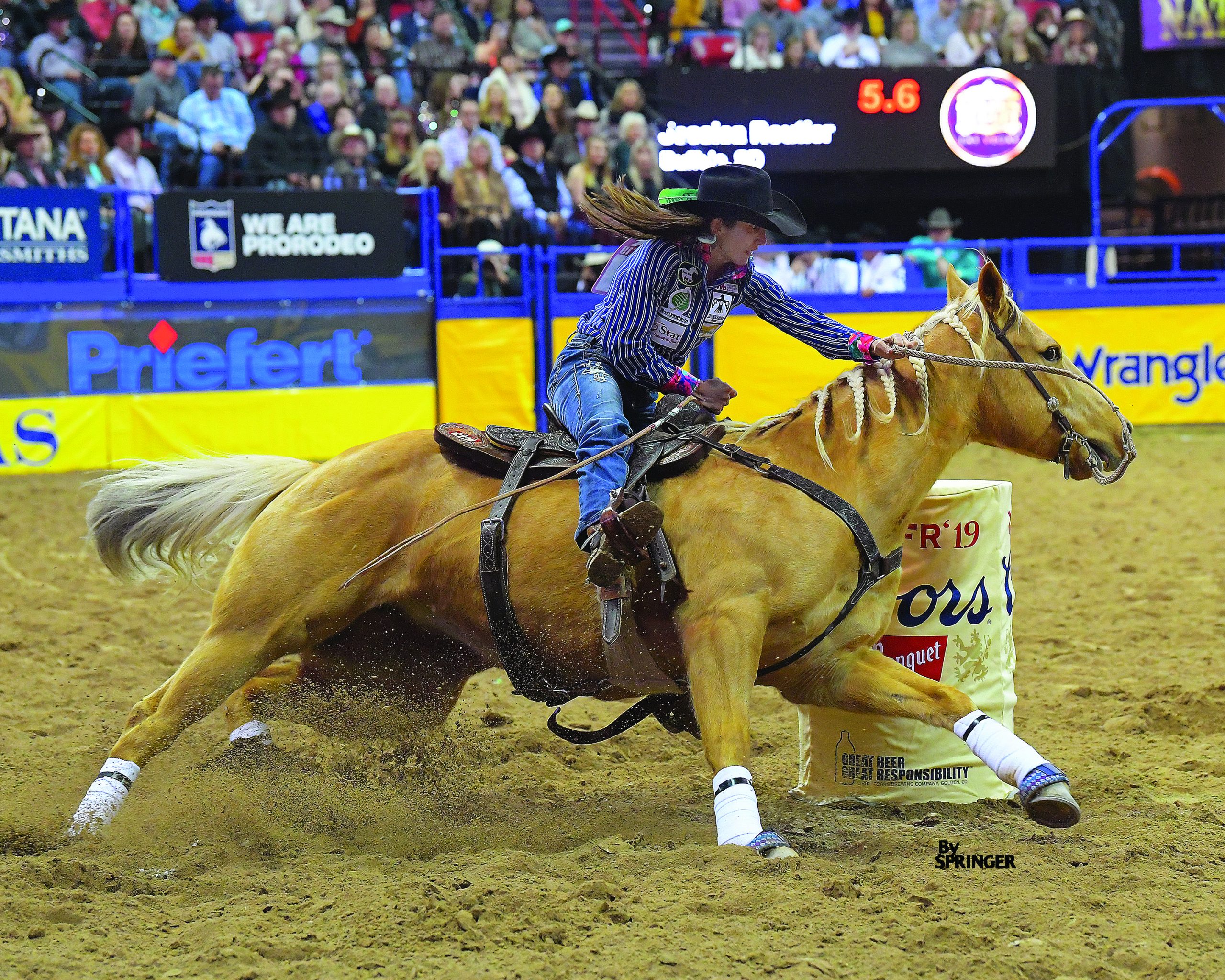 Horses bred in the wild are rodeo naturals, Lifestyles