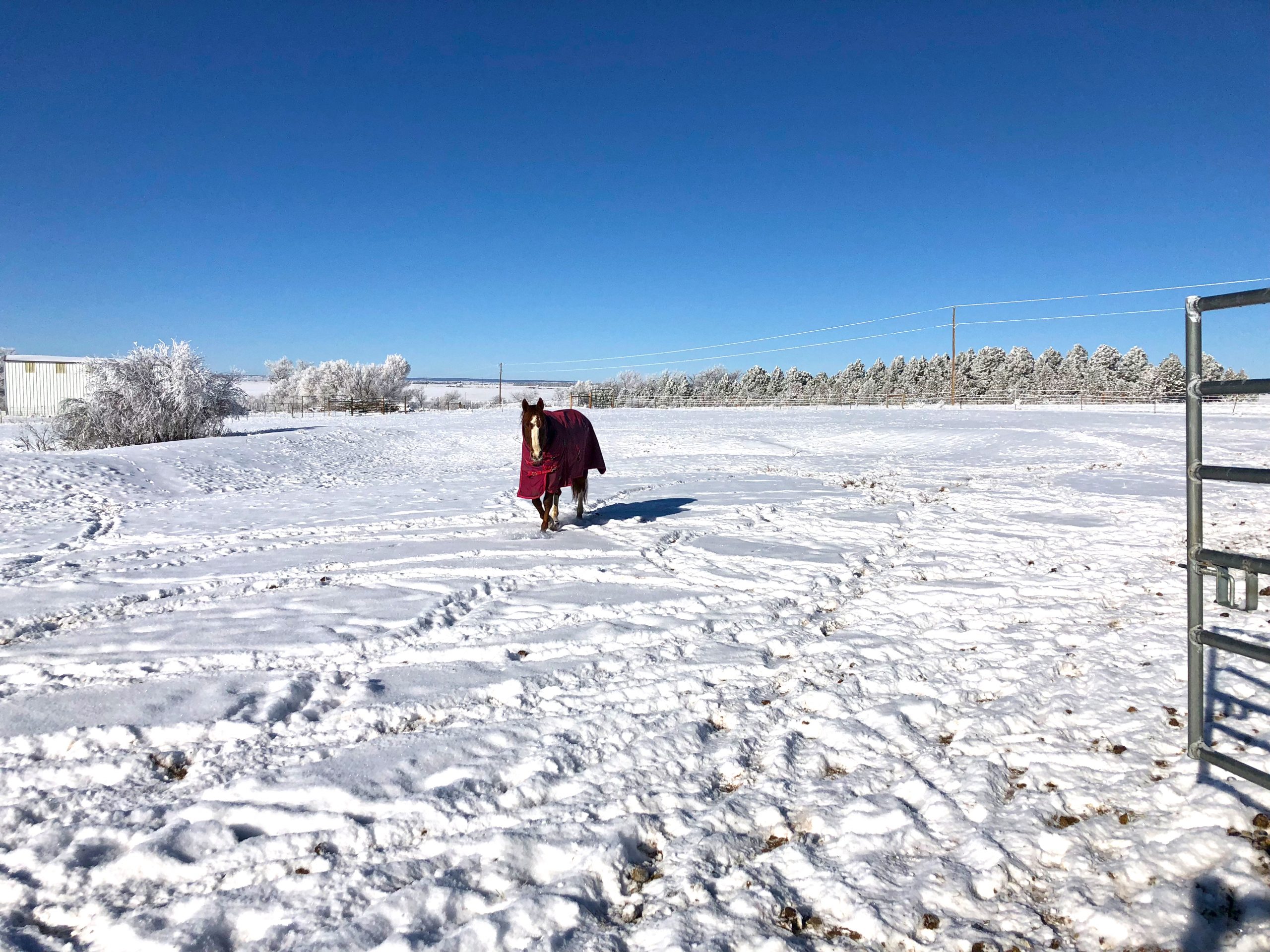 Hiking Safely with Your Baby in the Winter - Hailey Outside