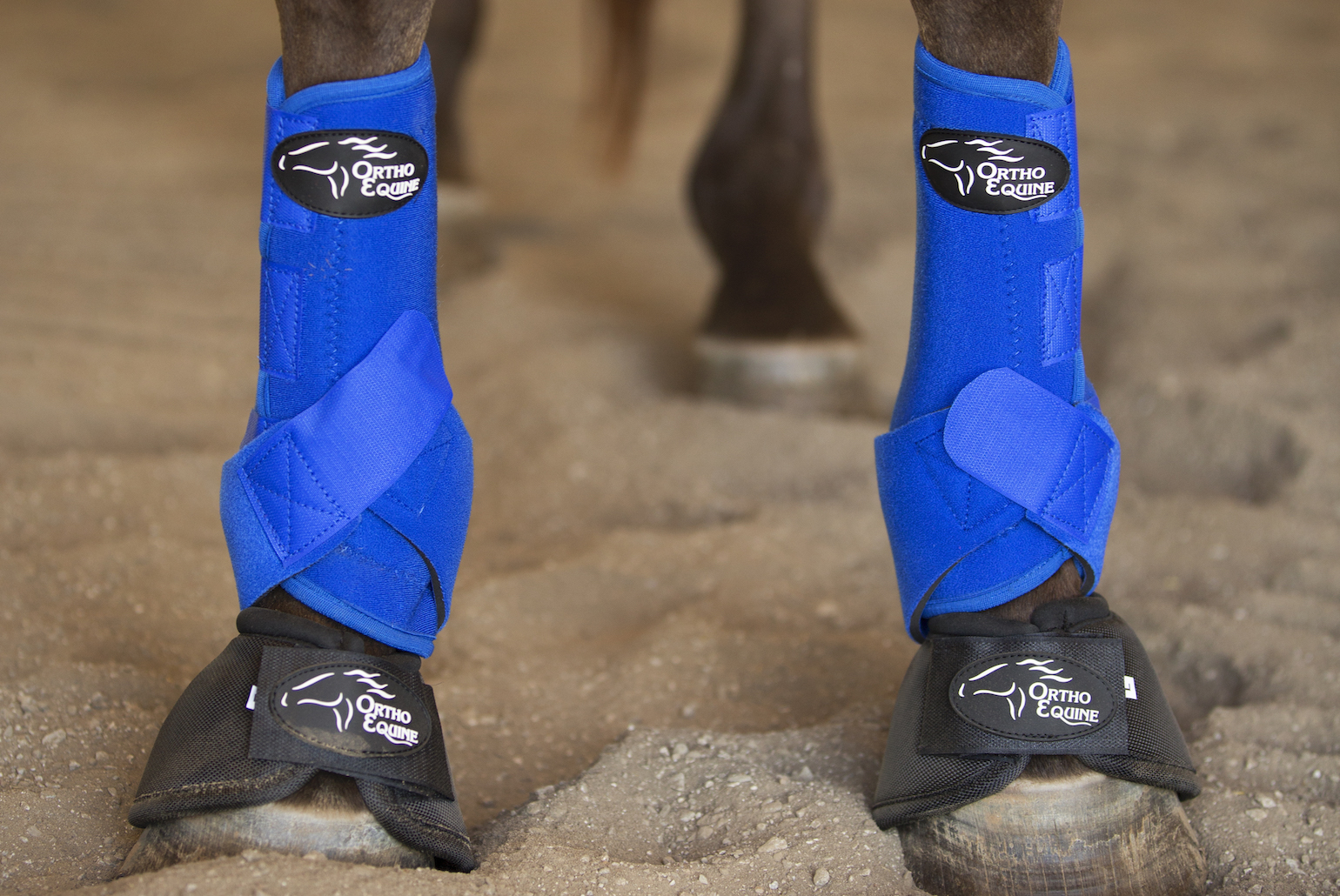 Equine Support Boots