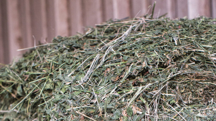 Hay and forage for weanlings and foals.