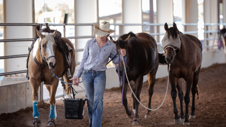 Barrel racer taking water to horses. A key component to a horse's recovery after a race.