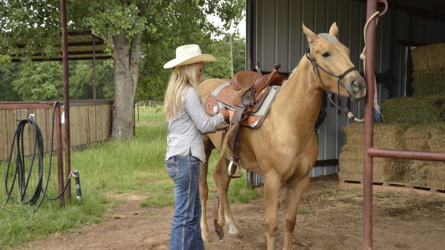 Saddling a young barrel horse prospect.