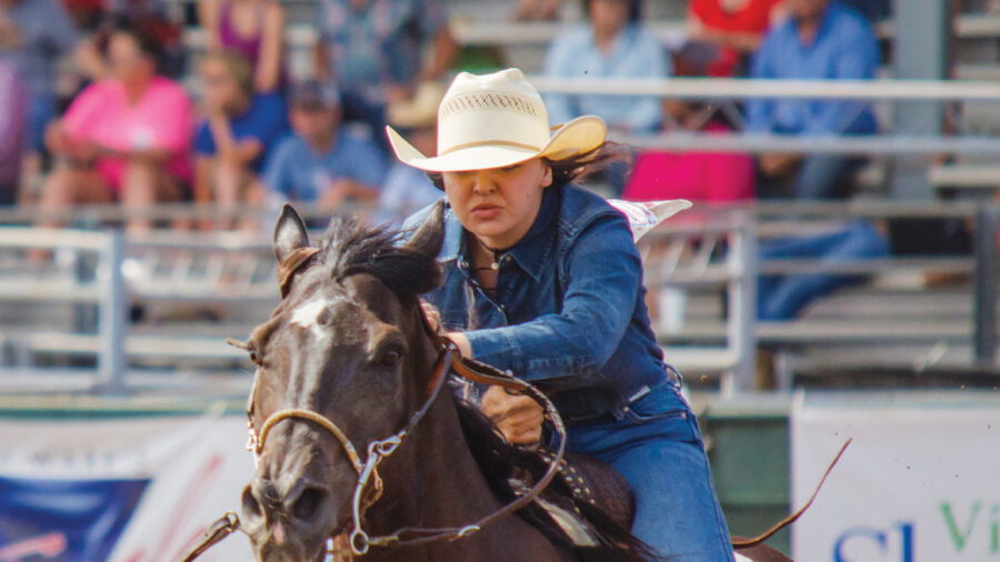 Alternative therapies for horses