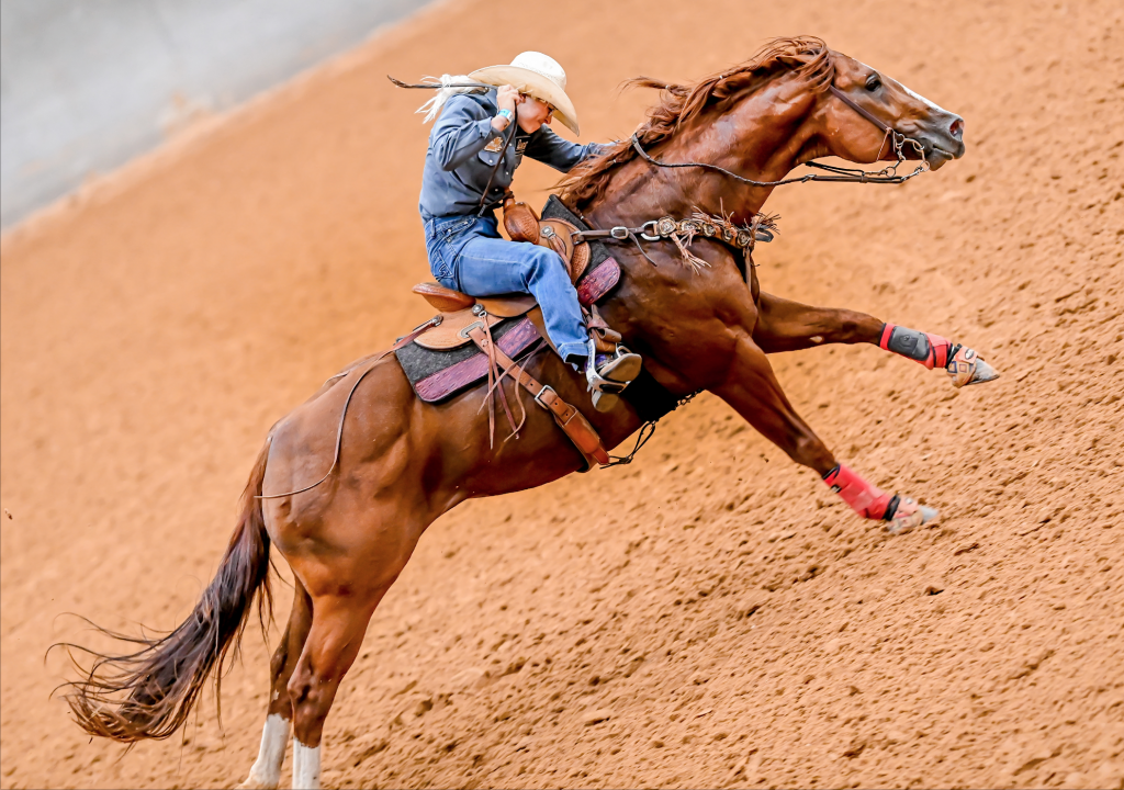 Training Tucker: An Inside Look at Craig Brooks' Training Program - Barrel  Horse News