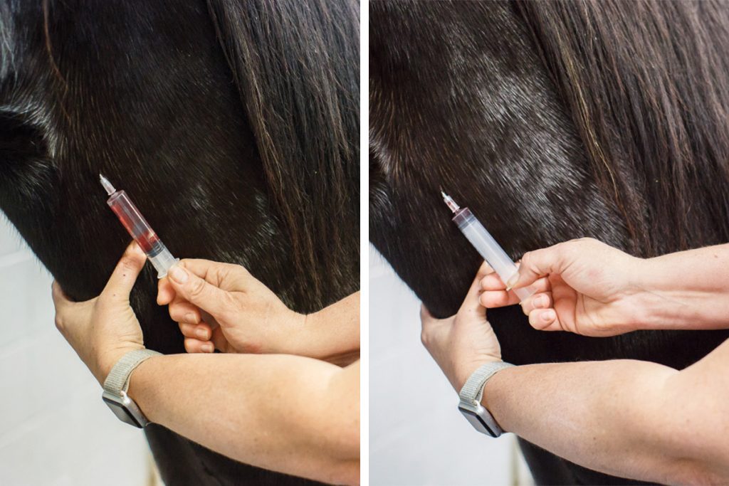 Armentrout shows how to check for blood when giving injections intravenously.