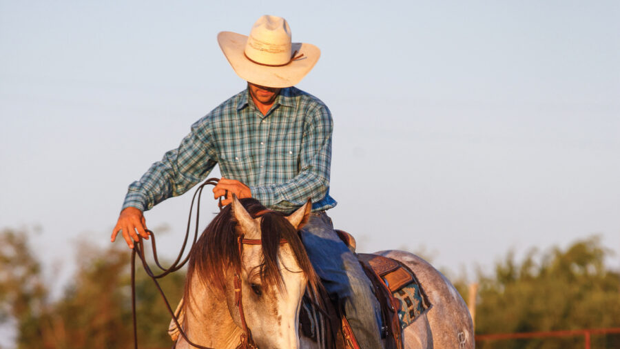 Justin Arnold working with a young horse.
