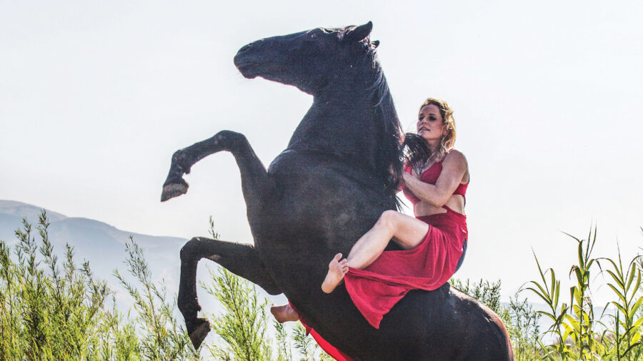 Professional barrel racer Tonia Forsberg