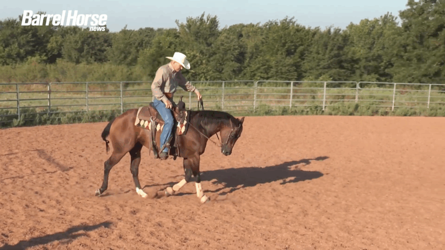 Carl Gould pushing into the bridle