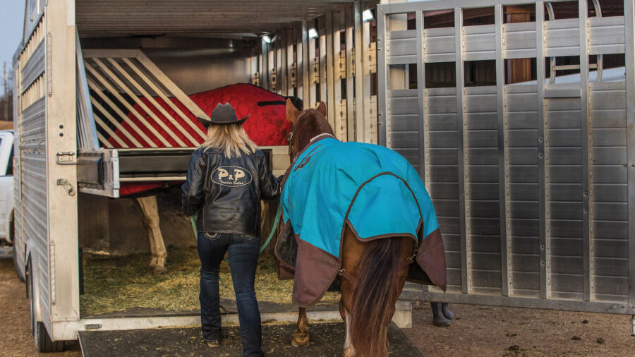 Trailering your horse