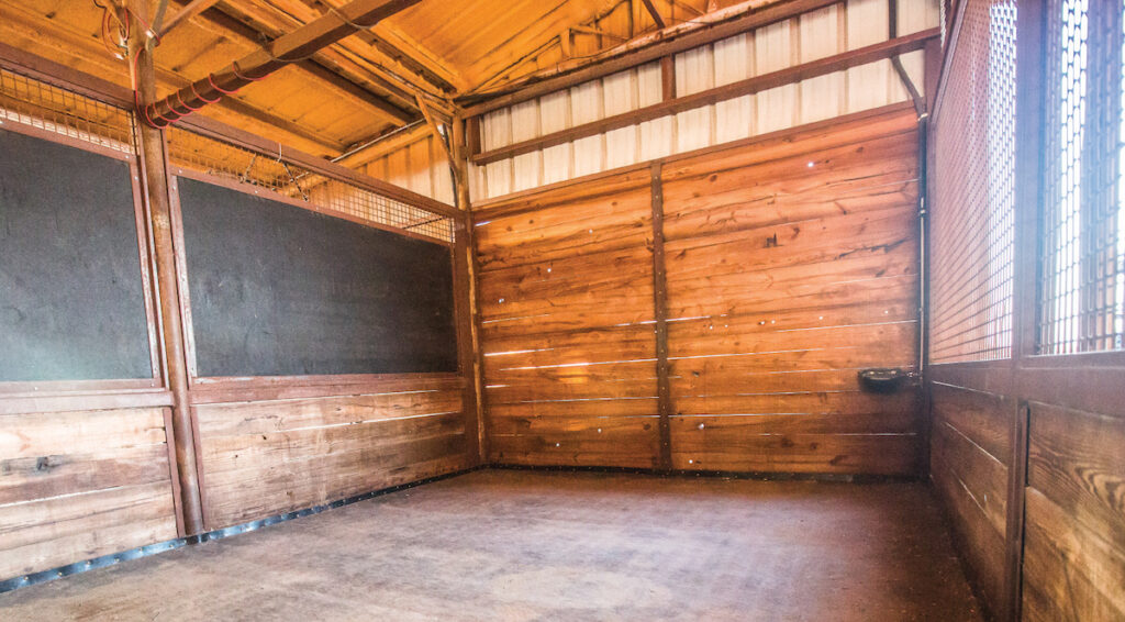 Large foaling stalls offer privacy and protection.