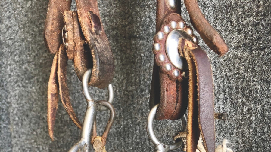 L&W Mikey bit hanging on headstall