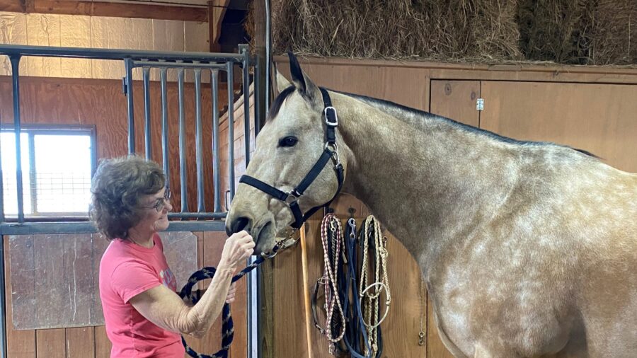 Mary Burger giving horse essential oils
