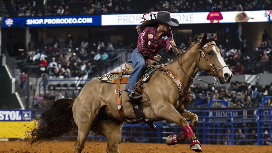 A look at the 2020 Barrel Racing industry