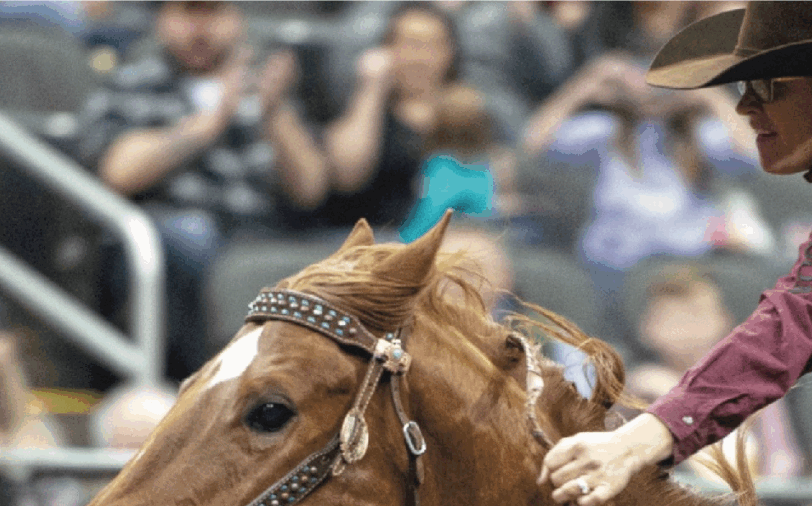 horse running out of arena in combination bit