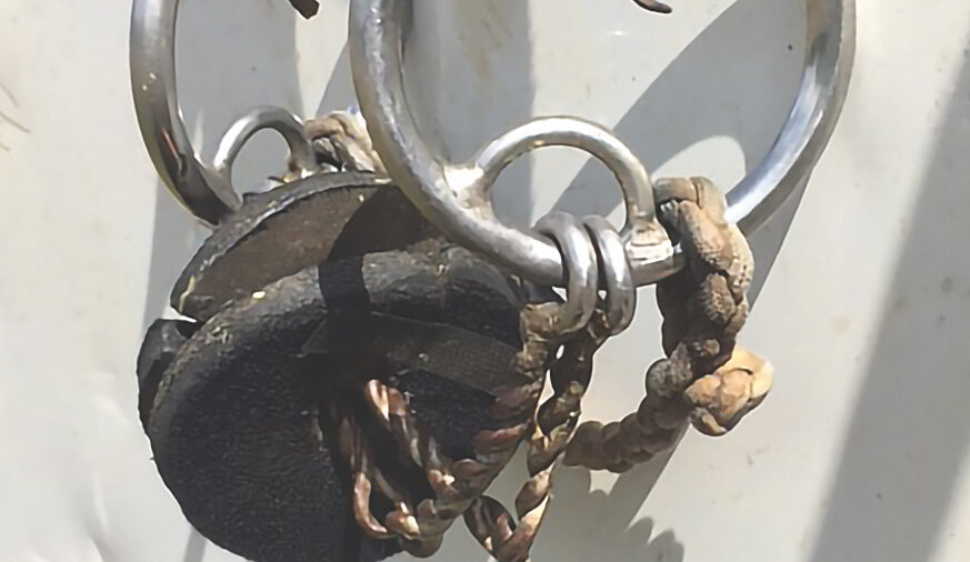 double mouthpiece snaffle