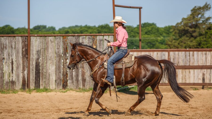 Jessie Domann riding horse in straight line