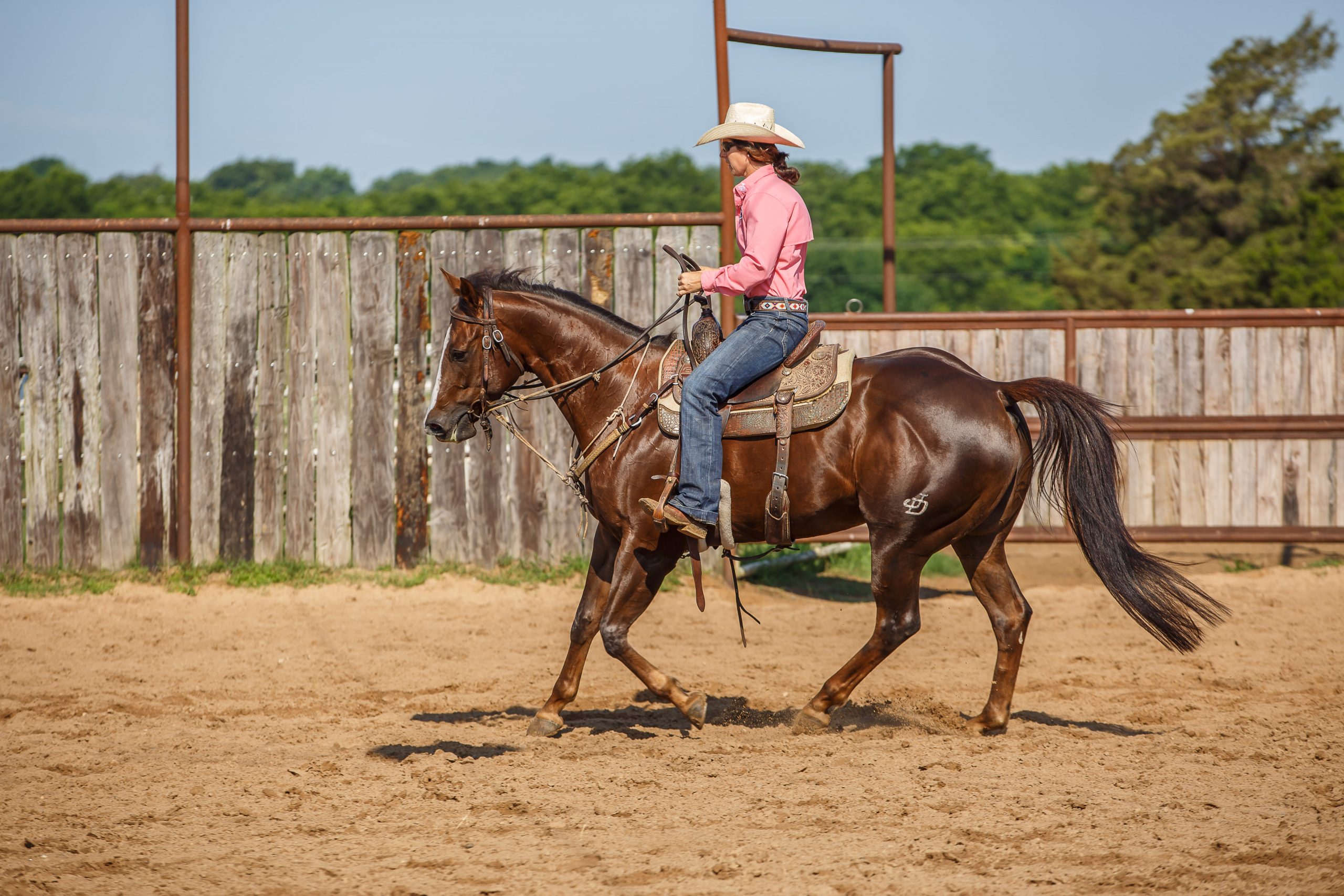 Jessie Domann riding horse in straight line