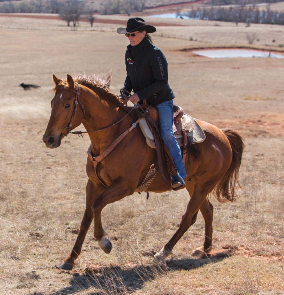 Dona Kay Rule works her horses over the hilly landscape.