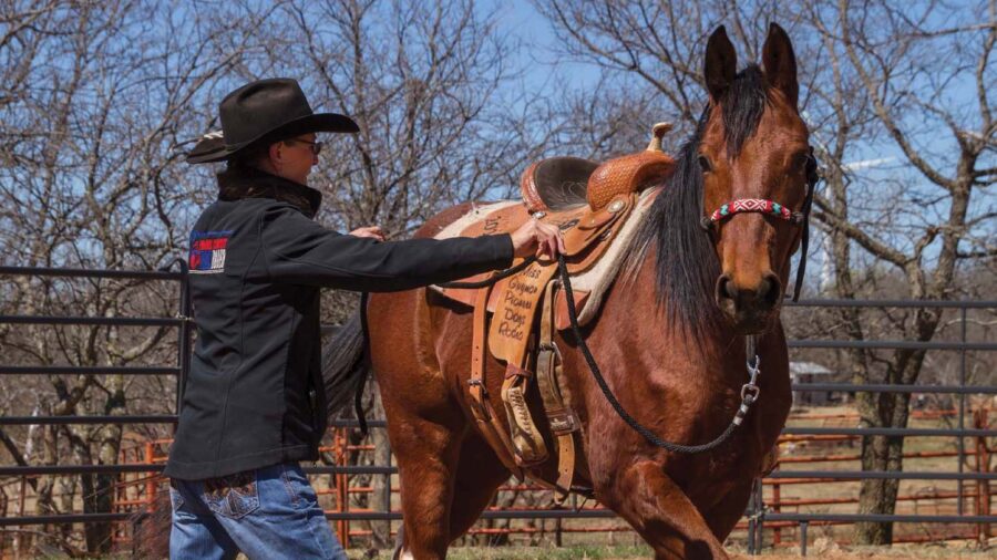 Dona Kay Rule's exercise tips involve creative ways for conditioning your horse.