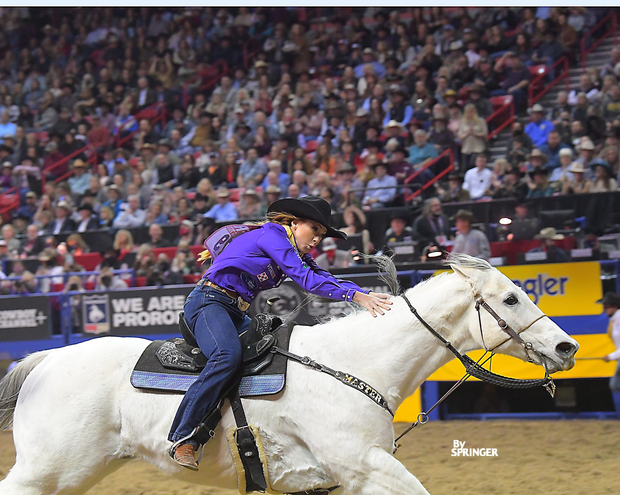 Stealing The Show Wenda Johnson Rides Steal Money To Round Four Victory 