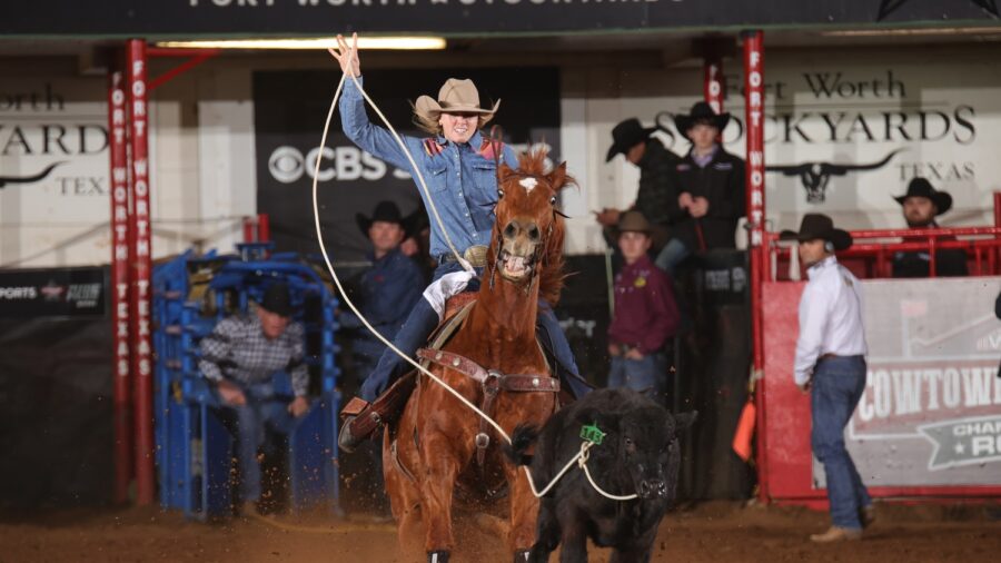 girl roping a calf