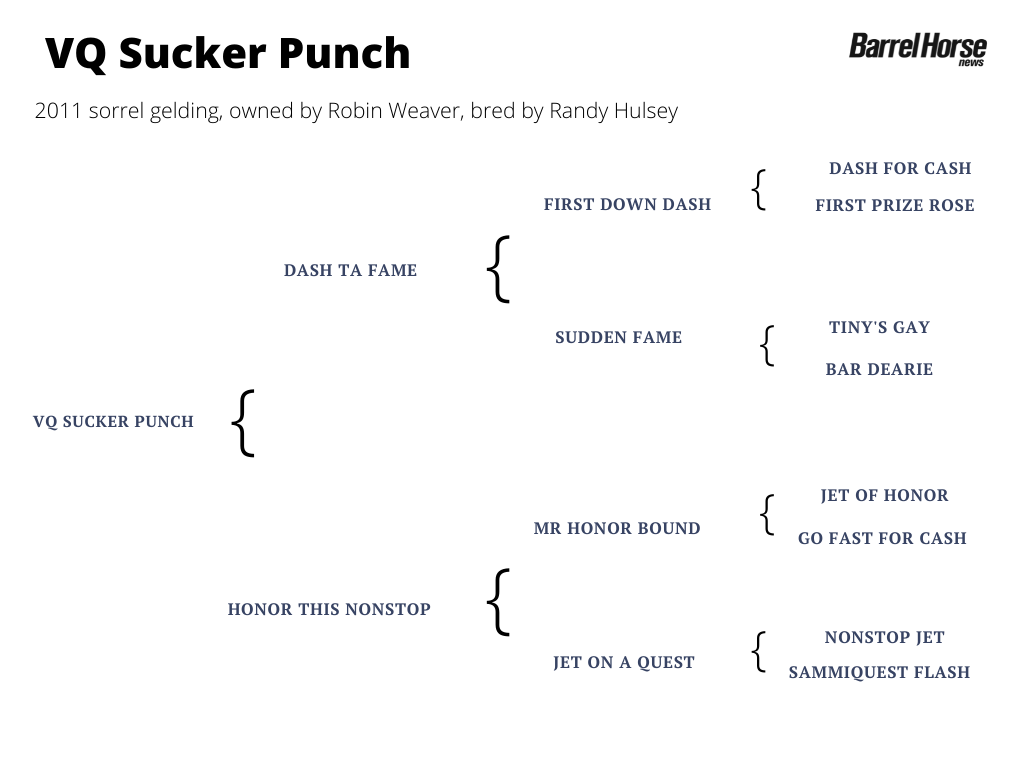VQ Sucker Punch pedigree