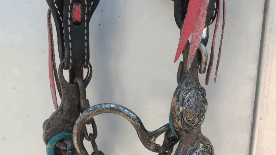 Chongo's bit hanging on trailer
