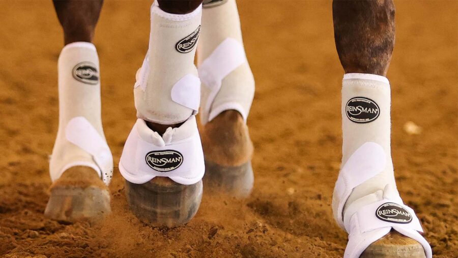 horse stopping wearing reins man sport boots