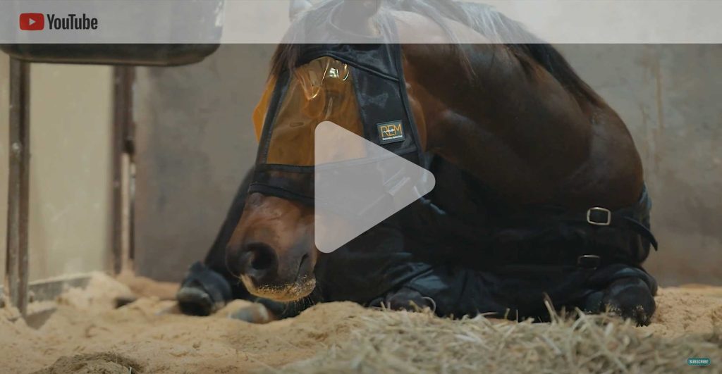 XpertEquine Equine Mask Video Cover