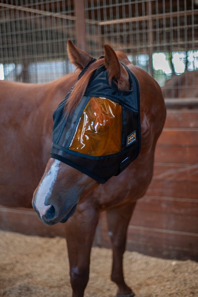 XpertEquine Equine Mask on sorrel horse
