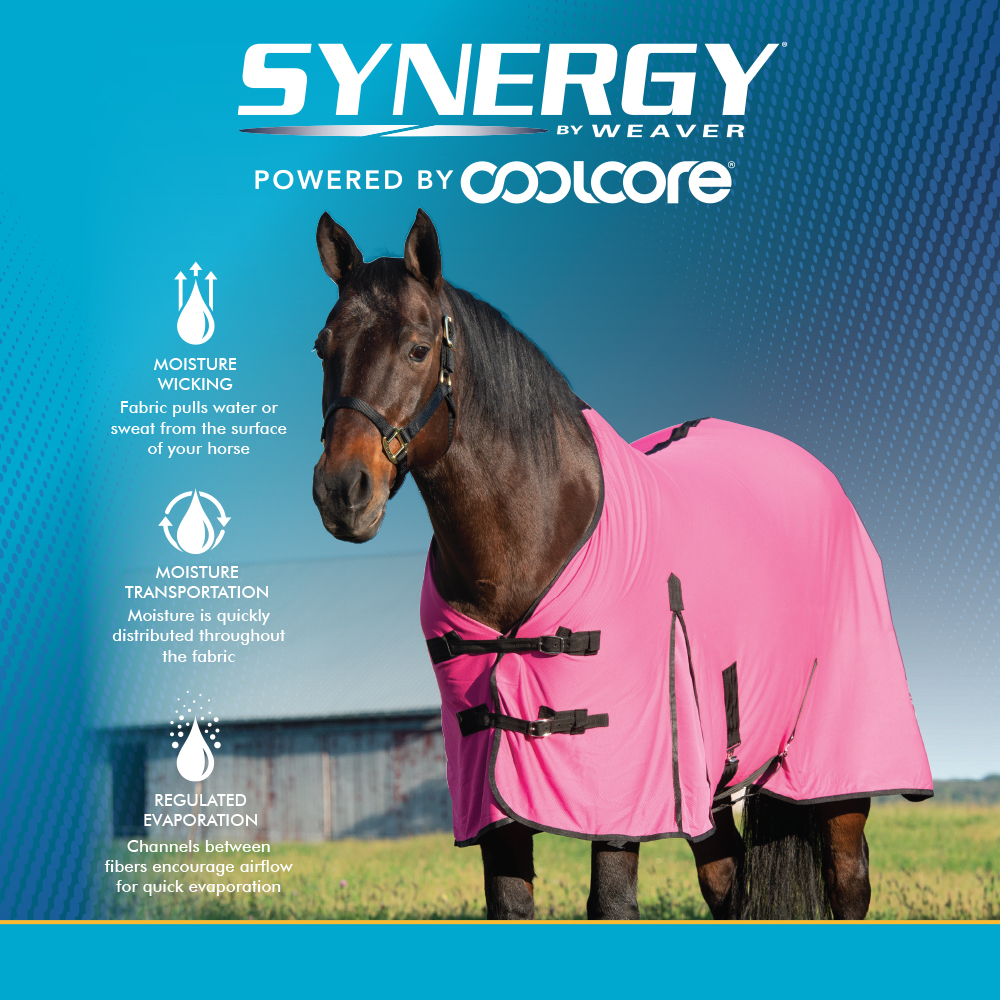Synergy CoolCore Technology Horse Blanket