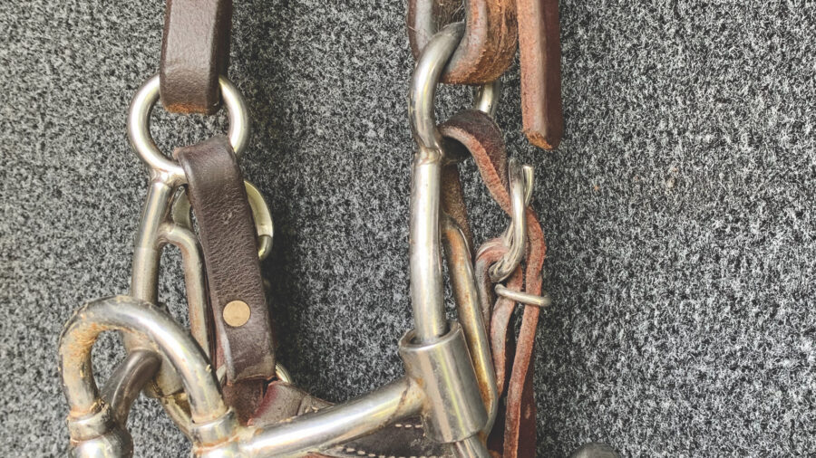 Jim Edwards ball correctional bit hanging on headstall