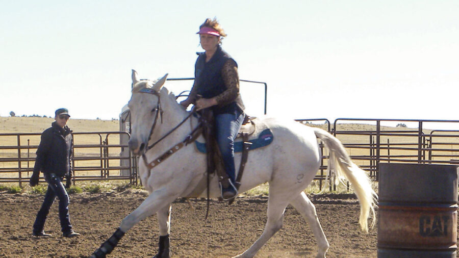 Fixing a ducking horse on the barrel pattern.