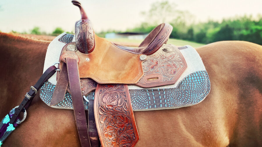 5 Star Barrel Racer Pad