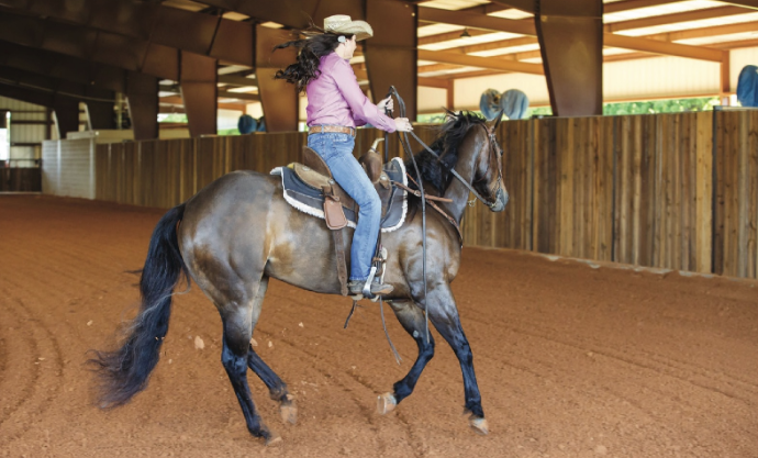horse loping across arena