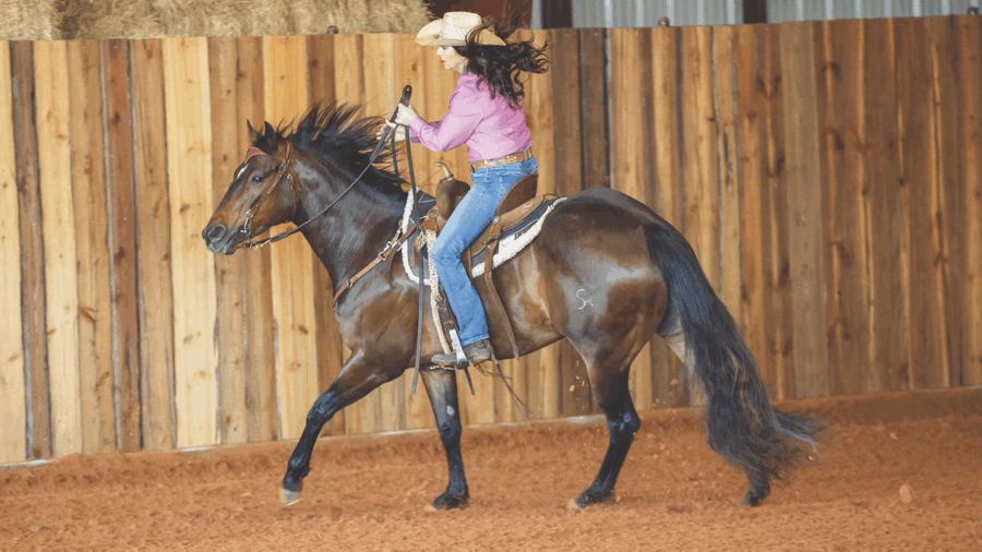 horse loping in front of wall