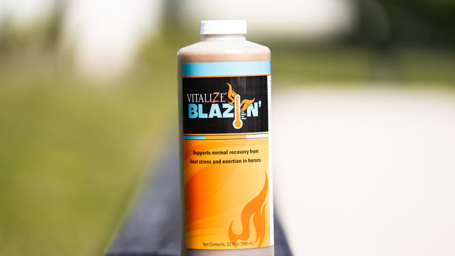Vitalize Blazin - Reduce Heat Stress