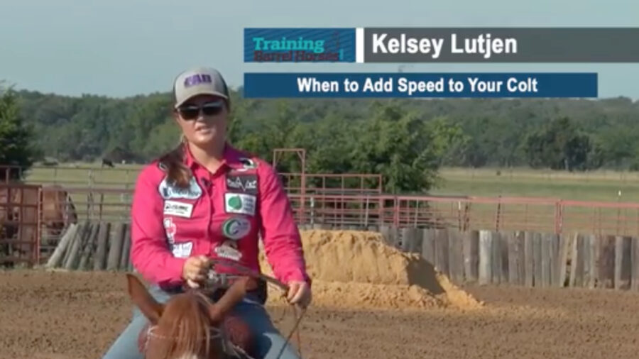When to Add Speed to Your Colt