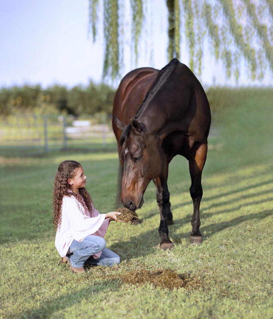 Girl kneeling feeding Chaffhaye wet hay to horse