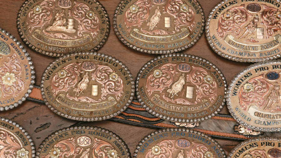 Barrel Horse Buckles