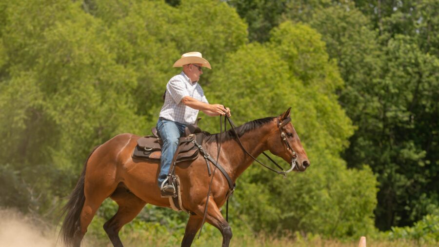 man trots horse for fitness
